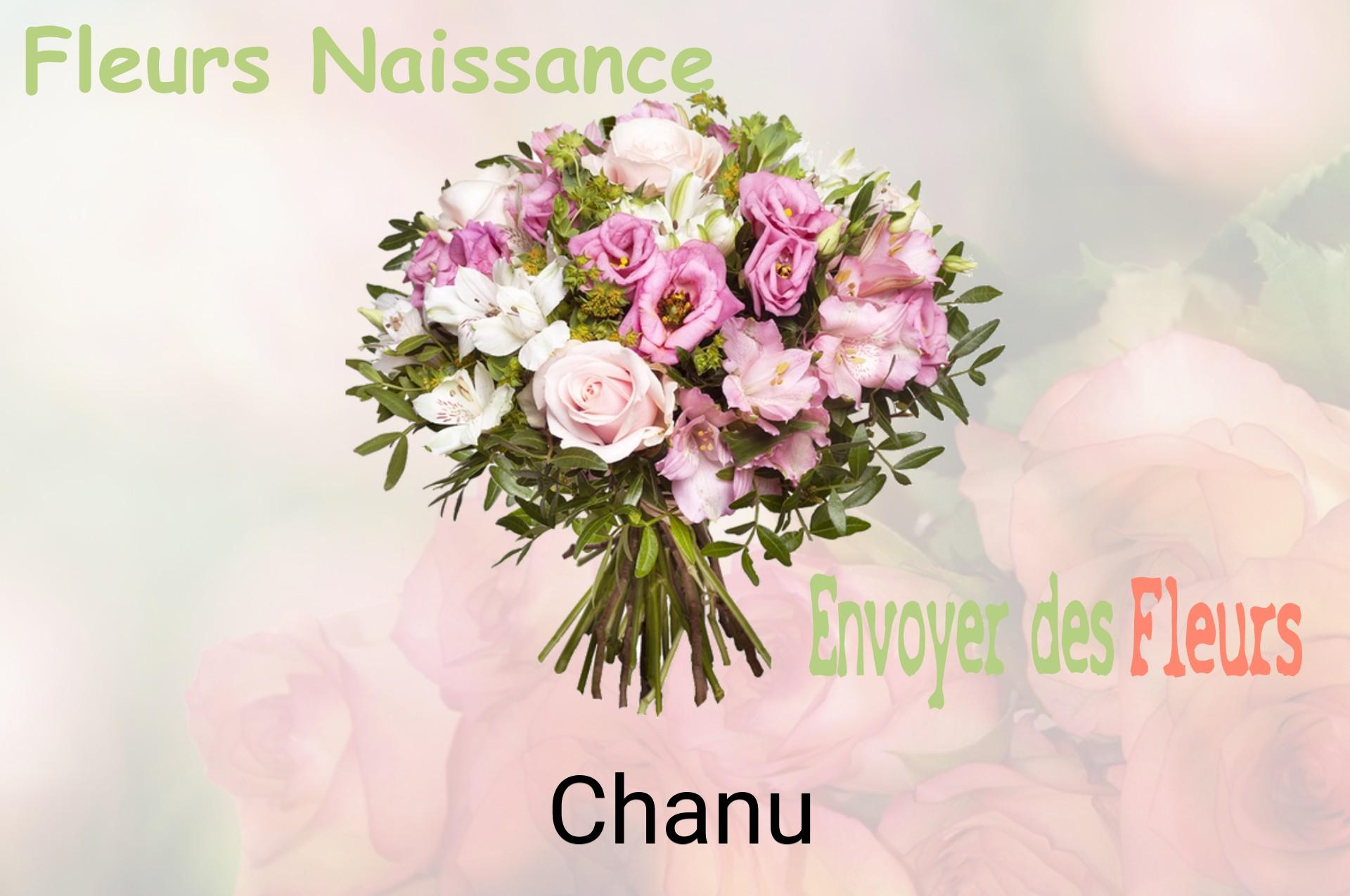 Bouquet de fleurs de naissance livré à Chanu